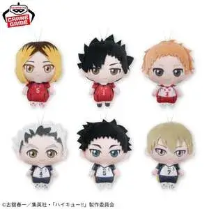 ハイキュー‼ ぬいぐるみちゃーむvol.2　2025年9月25日入荷予定プライズ